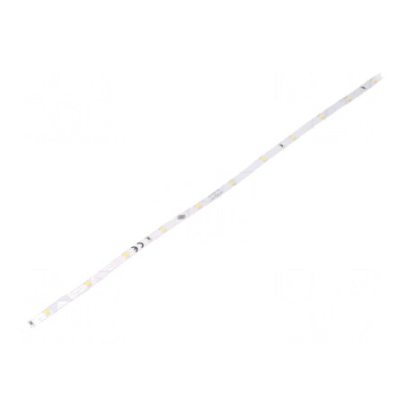 Bandă LED Neutru 24V 3W/m | Electronic-mag.ro | Componente Electronice