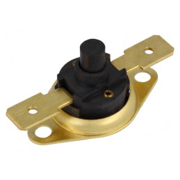 Termostat NC 100°C 16A 250VAC 6,3mm | Electronic-mag.ro | Componente Electronice