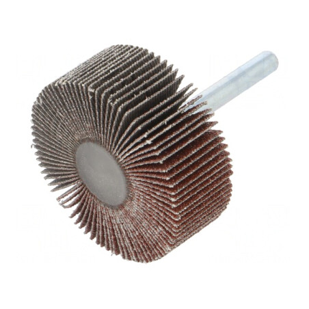 Ax Granularitate 80 cu Tijă 6mm și Ax Ø50x20mm | Electronic-mag.ro | Componente Electronice