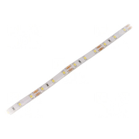 Bandă LED alb rece 12V IP65 12W/m | Electronic-mag.ro | Componente Electronice
