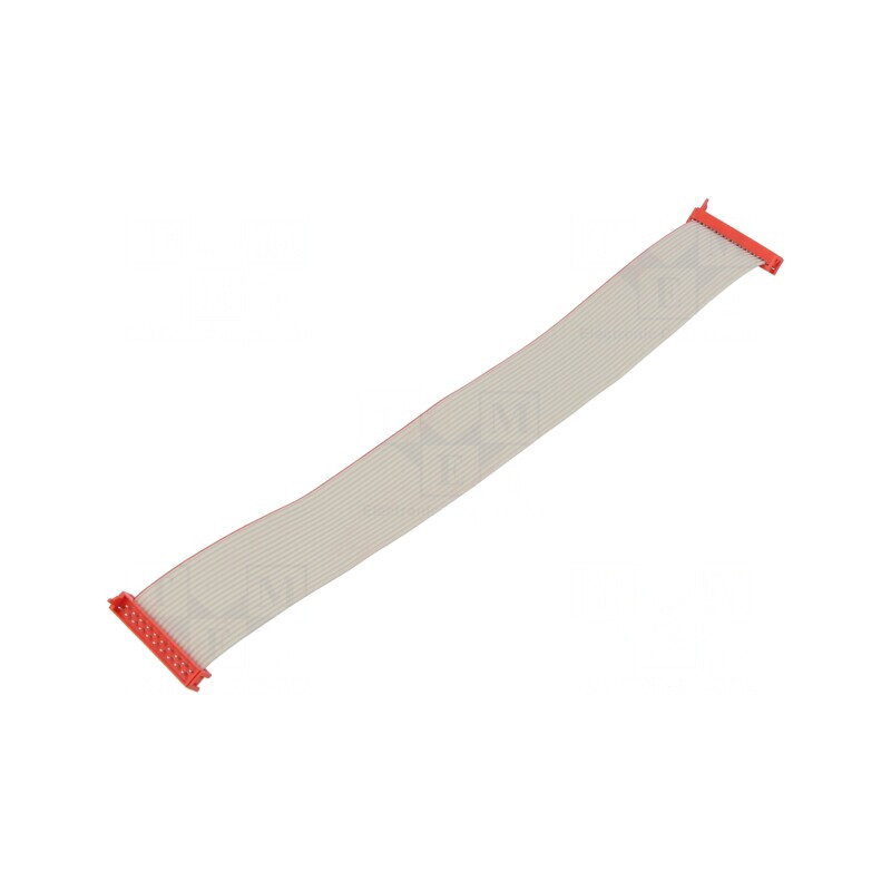 Cablu Panglică 20-PIN 2x10 Mufă | Electronic-mag.ro | Componente Electronice