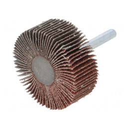 Ax Granularitate 60 cu Tijă 6mm și Ax Ø50x20mm | Electronic-mag.ro | Componente Electronice