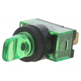 Comutator Basculant ON-OFF 20A 12V | Electronic-mag.ro | Componente Electronice