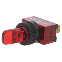 Comutator Basculant ON-OFF 20A 12V | Electronic-mag.ro | Componente Electronice