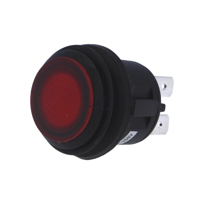 Comutator apăsare DPST-NO 6A 250VAC IP65 | Electronic-mag.ro | Componente Electronice