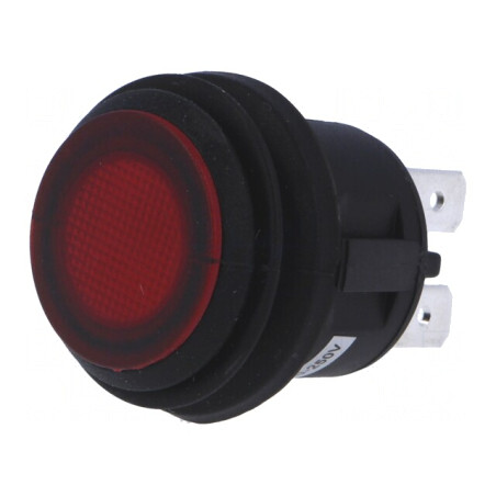 Comutator apăsare DPST-NO 6A 250VAC IP65 | Electronic-mag.ro | Componente Electronice