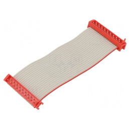 Cablu Panglică 20 PIN 2x10 Mufă | Electronic-mag.ro | Componente Electronice