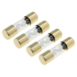 Siguranță Sticlă 60A Argintiu Auriu | Electronic-mag.ro | Componente Electronice