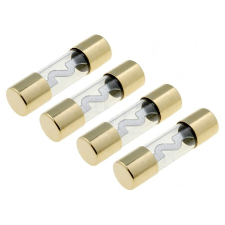 Siguranță Sticlă 60A Argintiu Auriu | Electronic-mag.ro | Componente Electronice