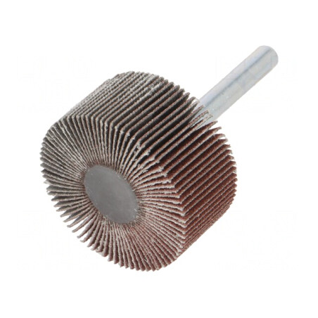 Ax Granularitate 120 cu Tijă 6mm și Ax 40x20mm | Electronic-mag.ro | Componente Electronice
