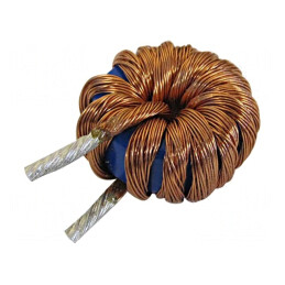 Inductor THT 22uH 30A