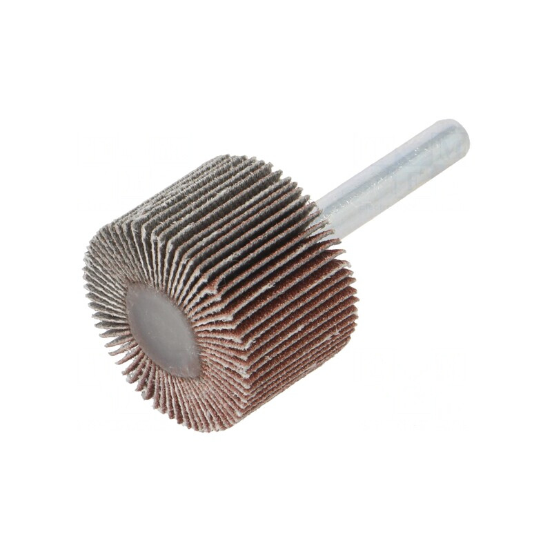 Ax Granularitate 120 cu Tijă 6mm și Ax Ø30x20mm | Electronic-mag.ro | Componente Electronice