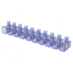 Regletă de Conexiuni cu Șurub 10mm2 450V 10 Piste | Electronic-mag.ro | Componente Electronice