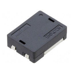 Filtru Anti-Interferențe SMD 6,3VDC 12,1x9,1x3,5mm | Electronic-mag.ro | Componente Electronice