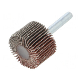 Ax de Polizare Granularitate 60 cu Tijă 6mm și Ax Ø30x20mm | Electronic-mag.ro | Componente Electronice