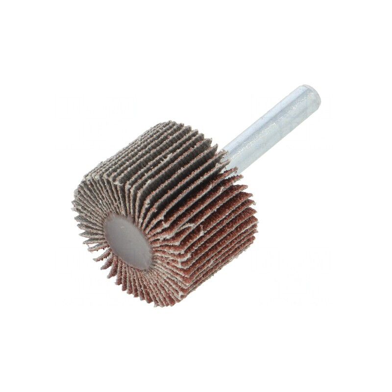 Ax de Polizare Granularitate 60 cu Tijă 6mm și Ax Ø30x20mm | Electronic-mag.ro | Componente Electronice Ax de Polizare Granularitate 60 cu Tijă 6mm și Ax Ø30x20mm | Electronic-mag.ro | Componente Electronice