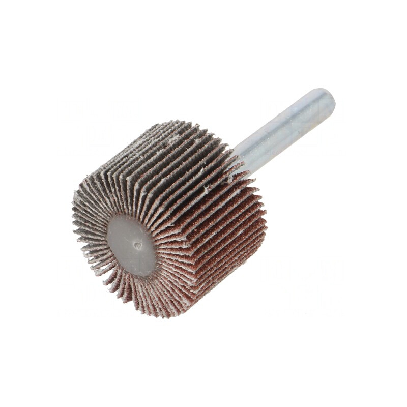 Ax Granularitate 80 cu Tijă 6mm și Ax Ø30x20mm | Electronic-mag.ro | Componente Electronice