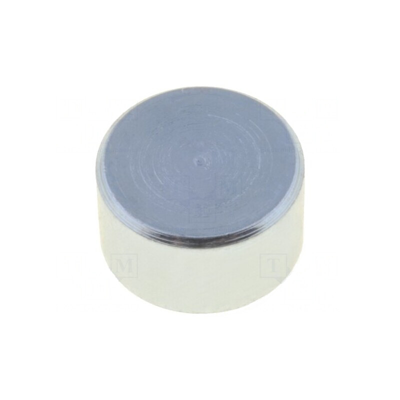 Magnet Neodim 8mm 13N Oțel | Electronic-mag.ro | Componente Electronice