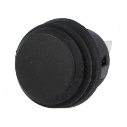 Comutator apăsare DPST-NO 6A 250VAC IP65 | Electronic-mag.ro | Componente Electronice