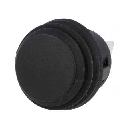 Comutator apăsare DPST-NO 6A 250VAC IP65 | Electronic-mag.ro | Componente Electronice