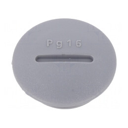 Capac de protecție PG16 poliamidă gri închis 6mm | Electronic-mag.ro | Componente Electronice