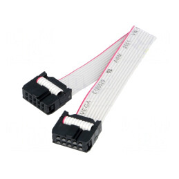 Cablu de Conectare UEXT Dual | Electronic-mag.ro | Componente Electronice