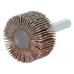 Ax pentru Polizare Granularitate 80, Ø30x15mm, Tijă 6mm | Electronic-mag.ro | Componente Electronice
