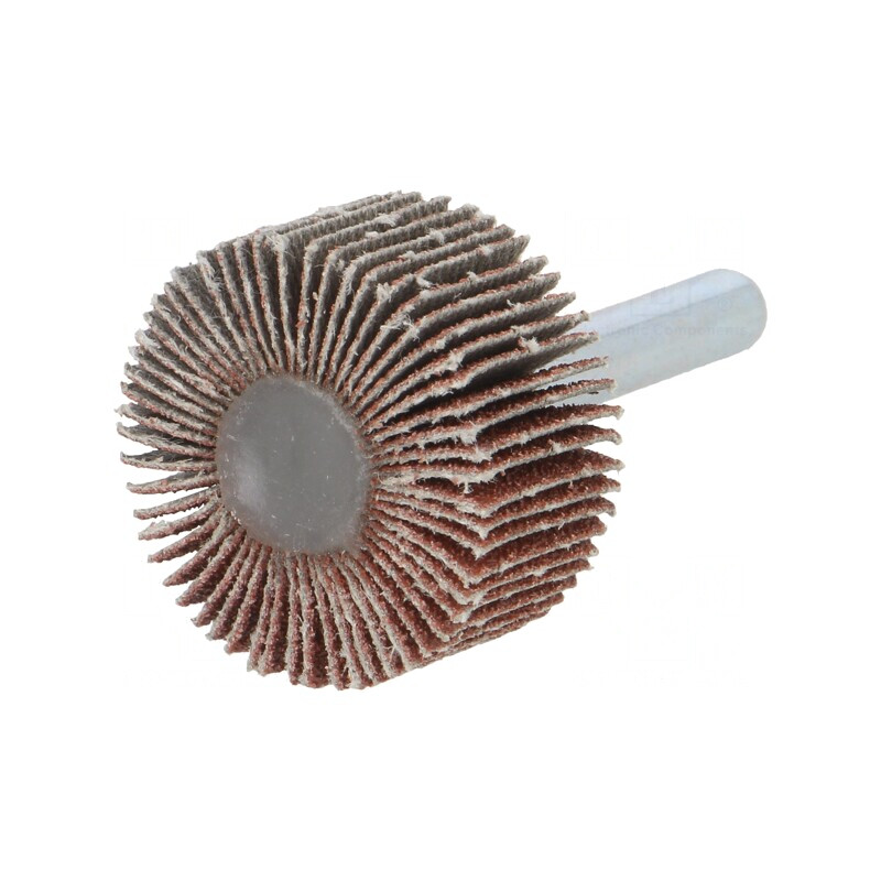 Ax pentru Polizare Granularitate 80, Ø30x15mm, Tijă 6mm | Electronic-mag.ro | Componente Electronice