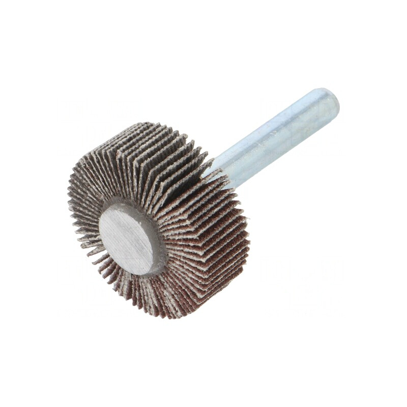 Ax Granularitate 120 cu Fixare Tijă 6mm și Ax Ø30x10mm | Electronic-mag.ro | Componente Electronice
