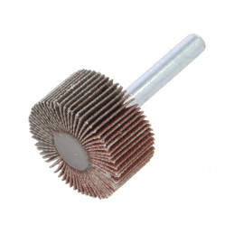 Ax Granularitate 120 cu Tijă 6mm și Ax Ø30x15mm | Electronic-mag.ro | Componente Electronice