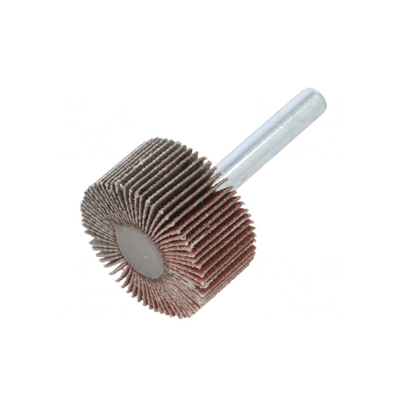 Ax Granularitate 120 cu Tijă 6mm și Ax Ø30x15mm | Electronic-mag.ro | Componente Electronice