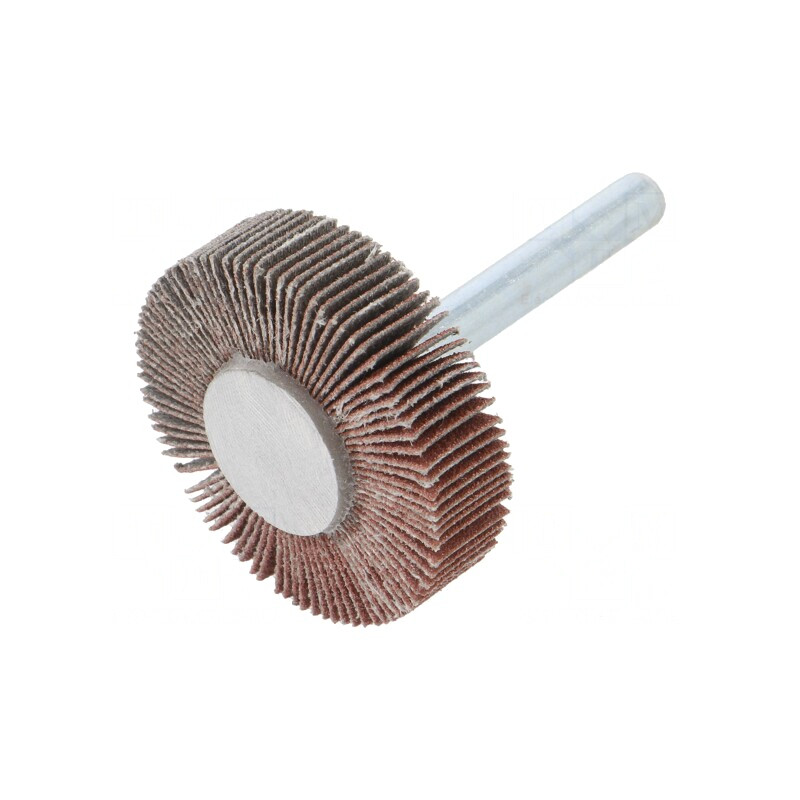 Ax Granularitate 120 cu Tijă 6mm și Ax Ø40x10mm | Electronic-mag.ro | Componente Electronice