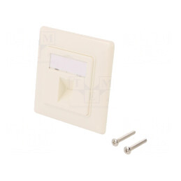Soclu Carcasa Keystone Albă în Perete | Electronic-mag.ro | Componente Electronice
