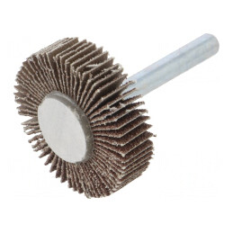 Ax Granularitate 60 cu Fixare pe Tijă 6mm și Ax Ø40x10mm | Electronic-mag.ro | Componente Electronice