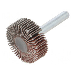Ax Granularitate 80 cu Tijă 6mm și Ø30x10mm | Electronic-mag.ro | Componente Electronice