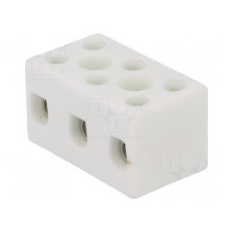 Regletă de Conexiuni cu Șurub 10mm2 450V 57A | Electronic-mag.ro | Componente Electronice