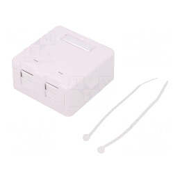 Soclu RJ45 Keystone Albă Murală | Electronic-mag.ro | Componente Electronice