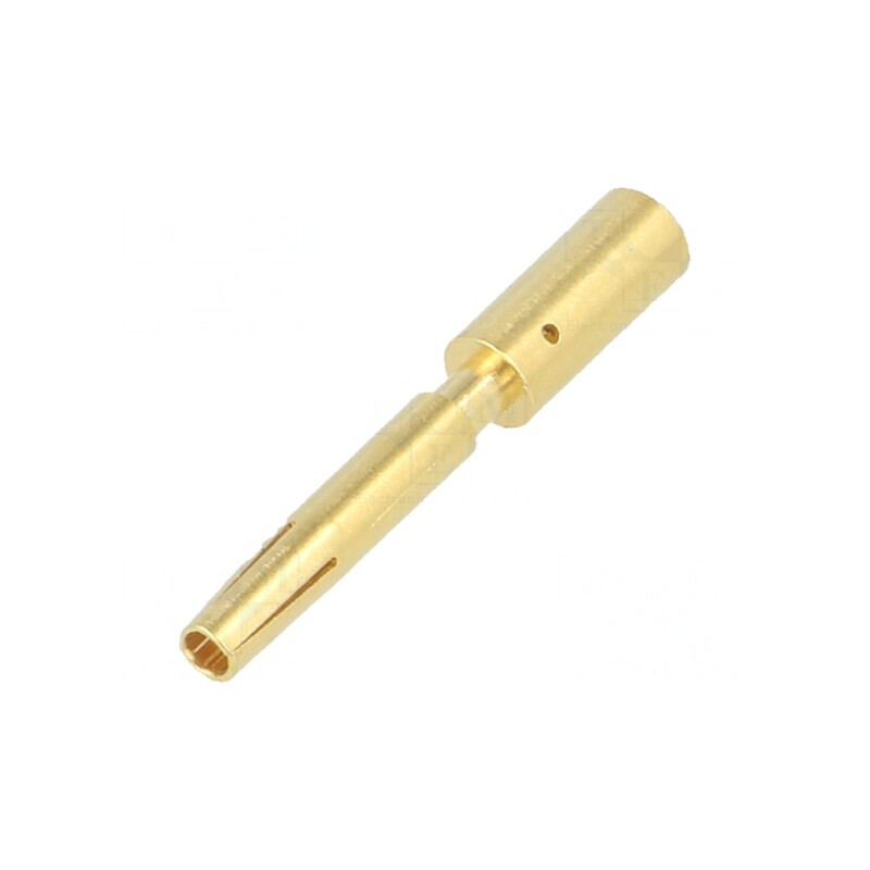 Pin mamă aurit 1,5mm M12 crimpat pe cablu 2,5mm2 | Electronic-mag.ro | Componente Electronice Pin mamă aurit 1,5mm M12 crimpat pe cablu 2,5mm2 | Electronic-mag.ro | Componente Electronice