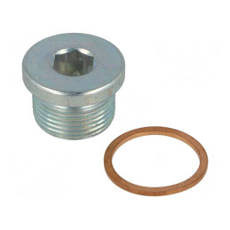 Dop Filetat M22 1.5 DIN 908 Oțel Zincat | Electronic-mag.ro | Componente Electronice