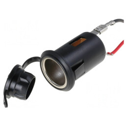 Soclu Brichetă Auto 10A 12V | Electronic-mag.ro | Componente Electronice