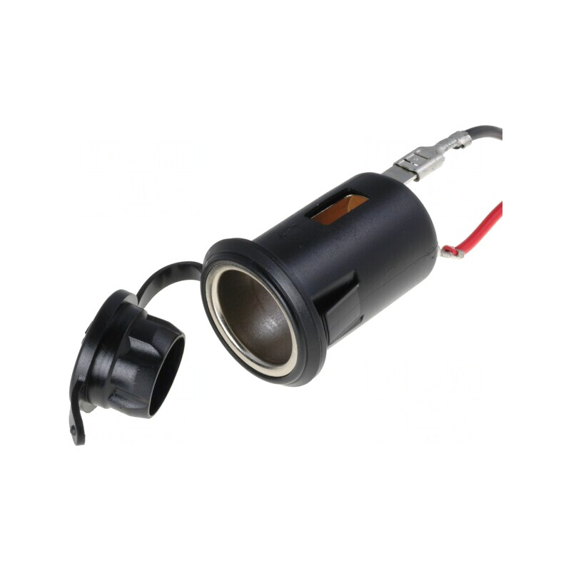 Soclu Brichetă Auto 10A 12V | Electronic-mag.ro | Componente Electronice