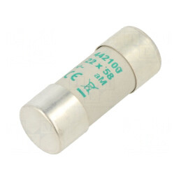 Siguranță AM 100A 500VAC 22x58mm | Electronic-mag.ro | Componente Electronice