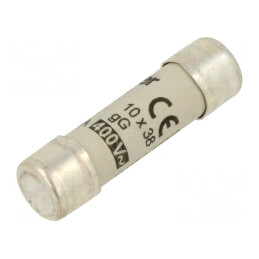 Siguranță gG Întârziere 32A 400VAC 10x38mm | Electronic-mag.ro | Componente Electronice