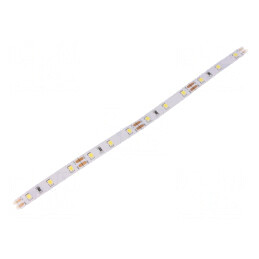 Bandă LED alb rece 12V 12W/m IP20 | Electronic-mag.ro | Componente Electronice