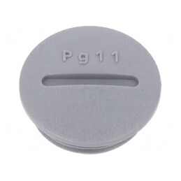 Capac Protecție PG11 Poliamidă Gri Închis 6mm | Electronic-mag.ro | Componente Electronice