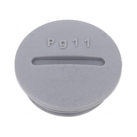 Capac Protecție PG11 Poliamidă Gri Închis 6mm | Electronic-mag.ro | Componente Electronice