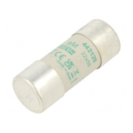 Siguranță AM 25A 690V 22x58mm | Electronic-mag.ro | Componente Electronice