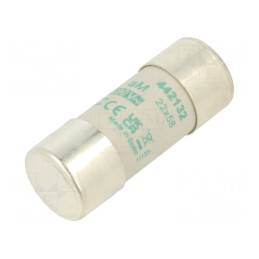 Siguranță aM 32A 690VAC 22x58mm | Electronic-mag.ro | Componente Electronice