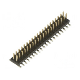 Conector SMT DIL Vertical 20 Pini | Electronic-mag.ro | Componente Electronice