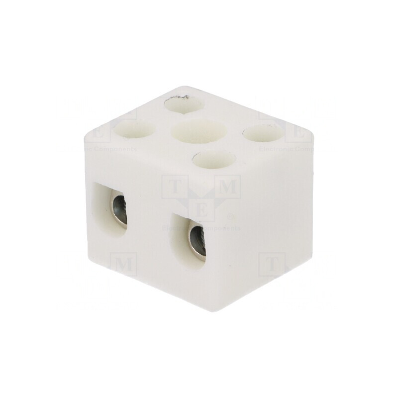 Regletă de Conexiuni cu Șurub 10mm2 450V 57A | Electronic-mag.ro | Componente Electronice